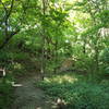 Gives an idea of the track and terrain.