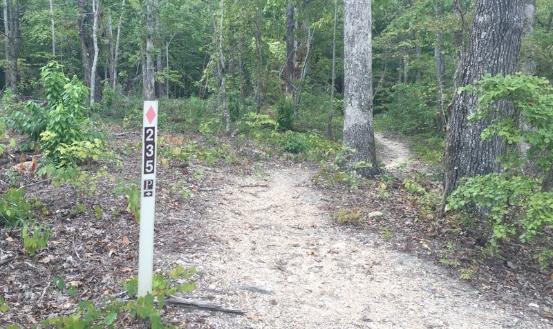 The Turkey Trail can be identified by pink #235 markers.