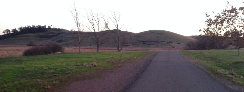 Coyote Hills