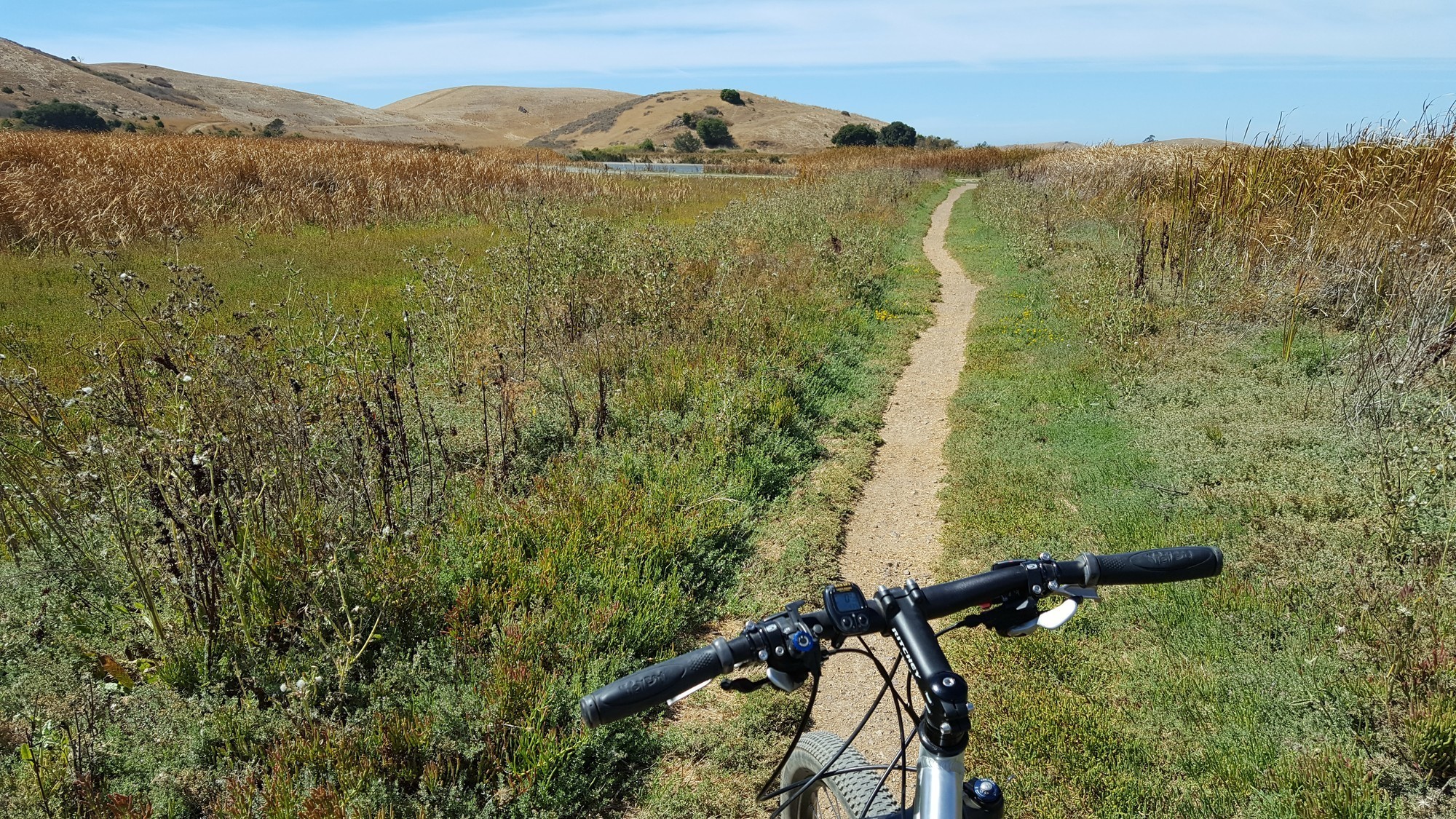 Muskrat Trail heading towards marsh.