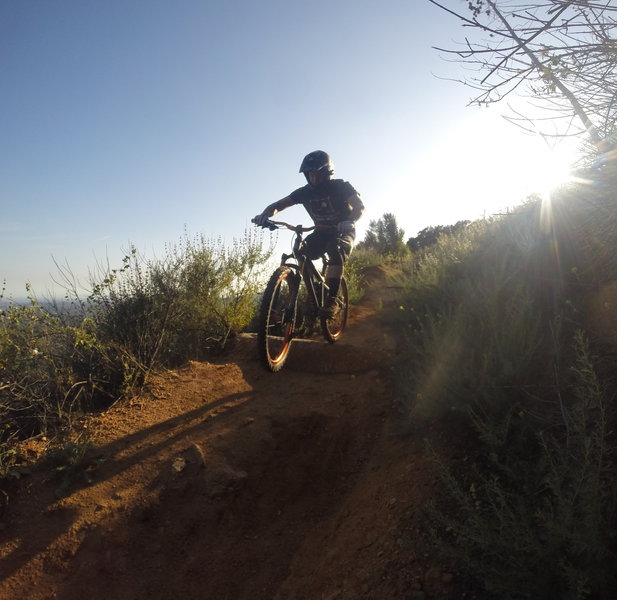 Horse Trail