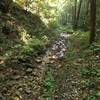 Near the top of the first climb, may be "hike a bike" for a short distance.
