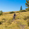 This trail needs some tires on it!