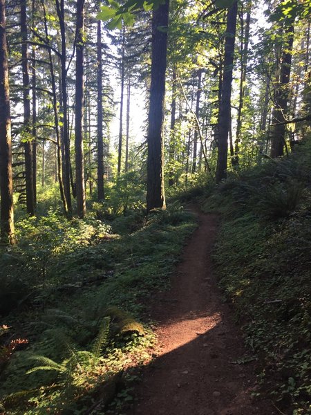 August Mountain Trail
