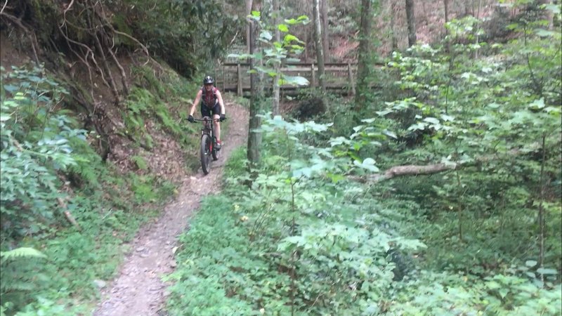 whitewater center bike trails