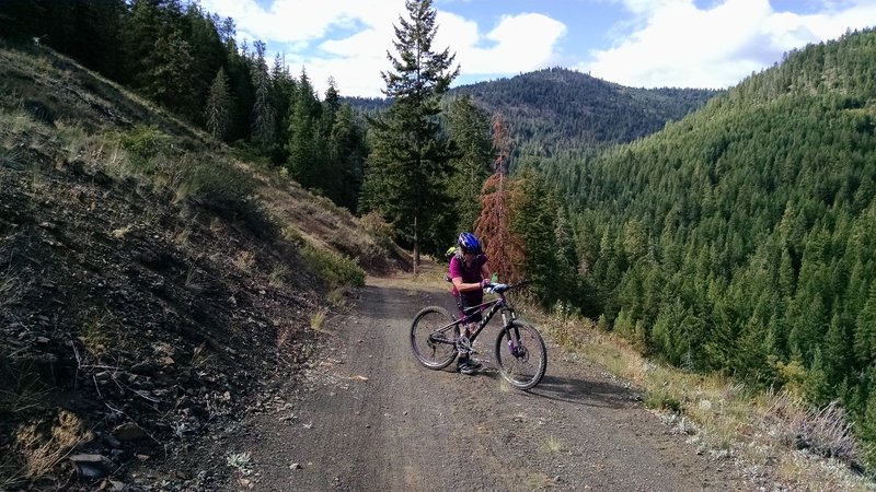 Blue Jay Trail