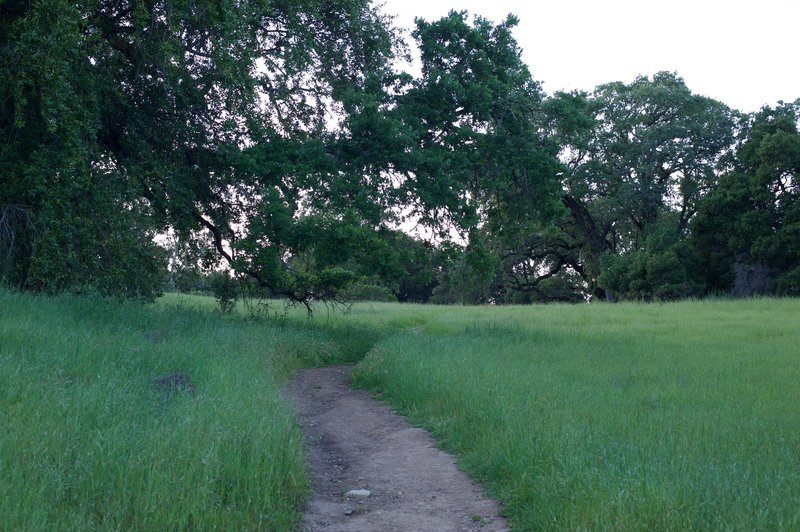 The Meadow Trail makes its way through a meadow.