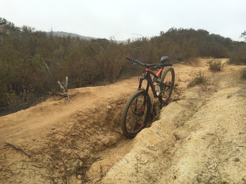 Trenchy DH section with narrow options.