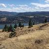 Riding Syncline on a dry summer day, overlooking the Columbia.