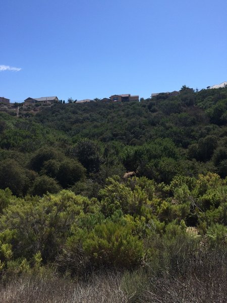 Appendix Trail at center of photo.