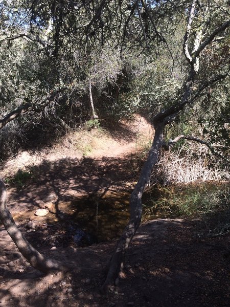 Deer Creek Trail