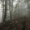 In the clouds on the ridgeline of River Mt Rd headed to the fire tower before the first climb.