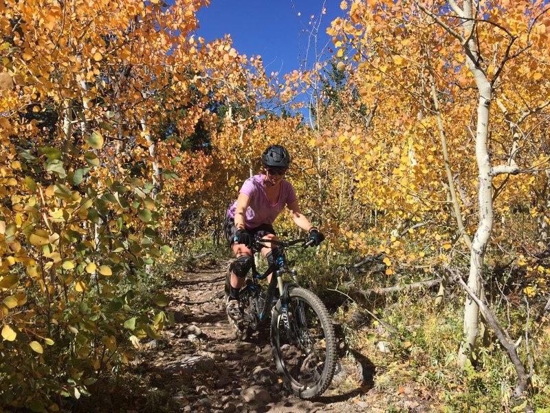 The Cougar Slayer Mountain Bike Trail, Nederland, Colorado