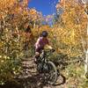 "Look out" for awesome fall colors on this trail.