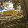 The trail is smooth, but you need solid lungs to crank up the aspen-covered hills.