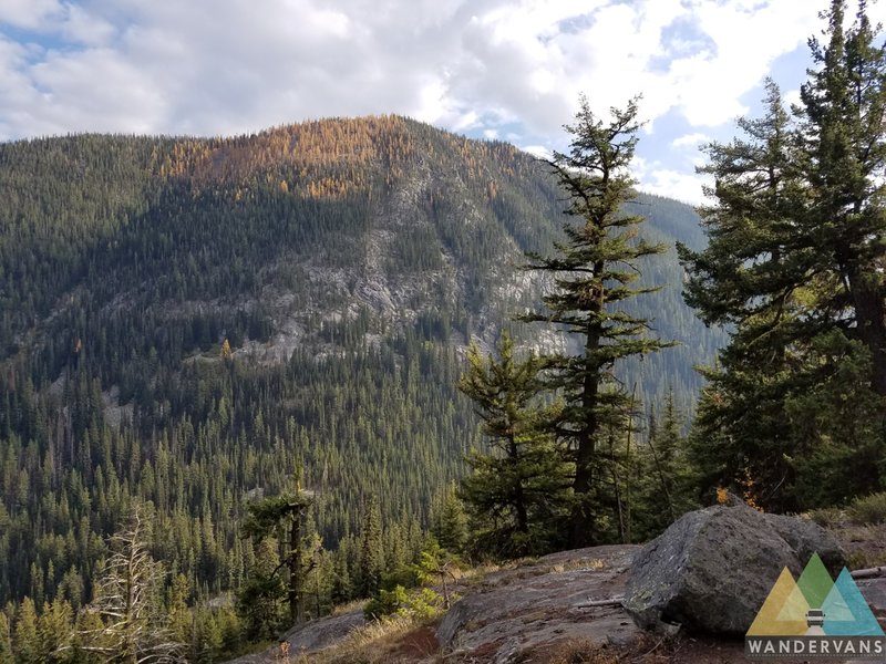 Martin Creek Trail #429