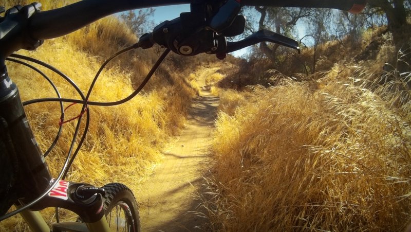 Kona Singletrack