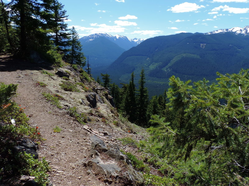 Palisades Trail #1198