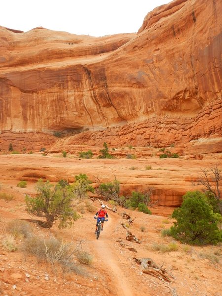 Moab riding has epic scenery around every corner.