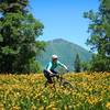 Time the wildflowers correctly and it becomes an epic ride!