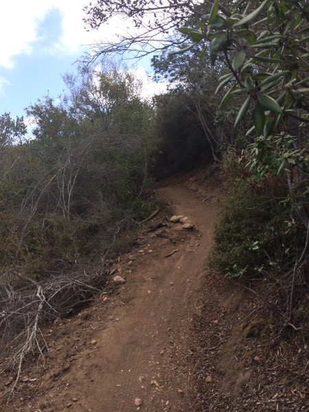 Switchback Trail.
