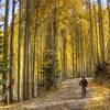 Aspen Alley.