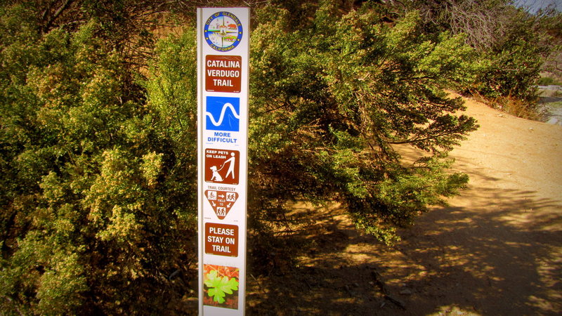 Catalina Verdugo Trail