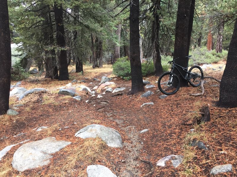 North Lake Alpine Trail