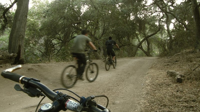 Marshall Canyon Trail