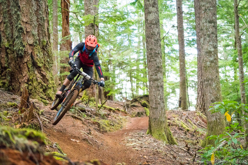 olallie mountain bike trail