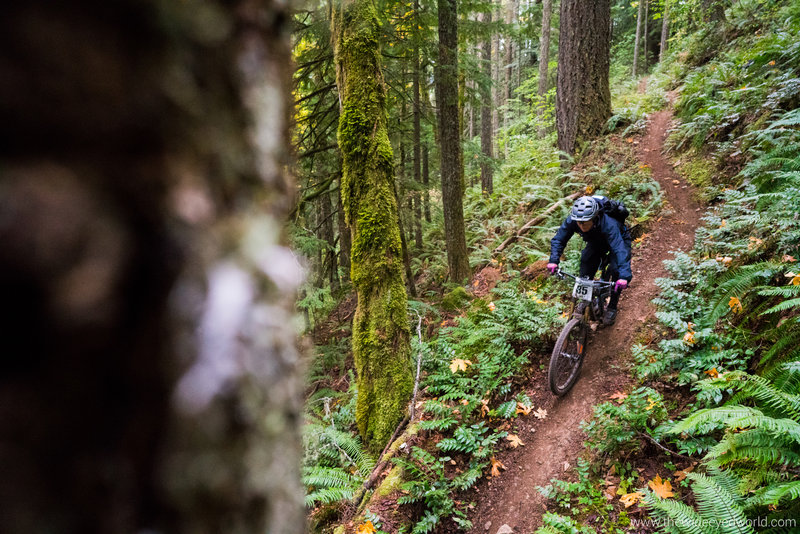 Eula Ridge Trail #3463