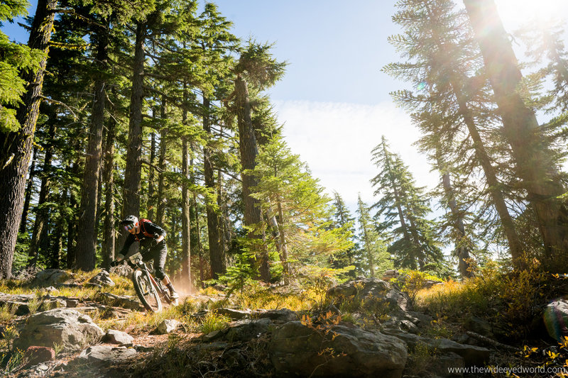 Windy Pass #3643