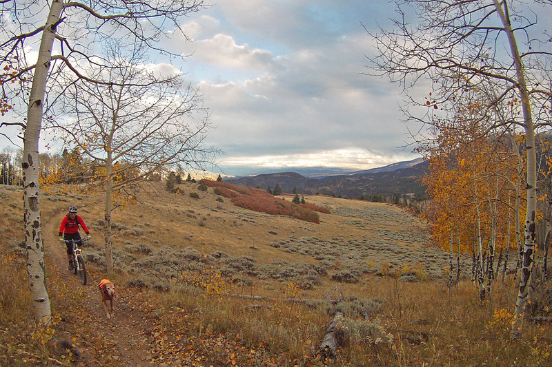 Rainbow Trail 1336 Mountain Bike Trail, Westcliffe, Colorado