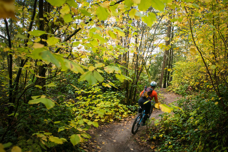 swan creek mtb trail parking