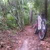 Tight singletrack.
