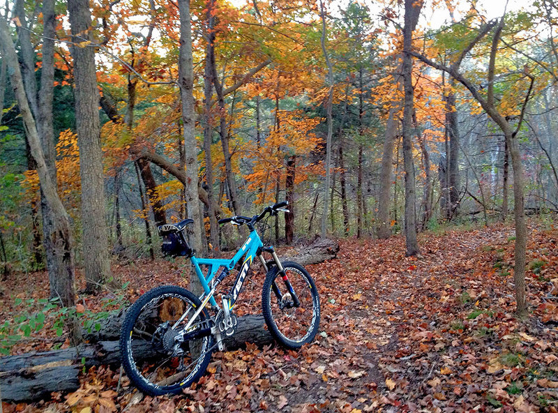 Binder Lake Trail can be spectacular in the fall.