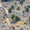 Great fall colors on Abrams Ridge in Eagle, CO.