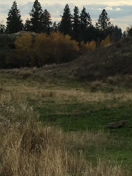 Fishtrap Lake Loop