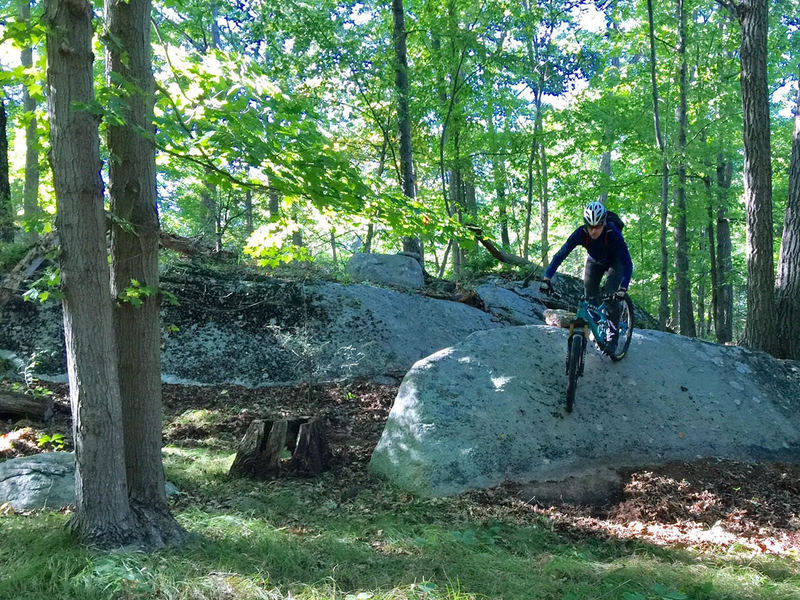 forest mtb trails