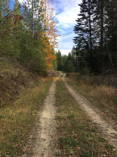 Mica Peak Trail