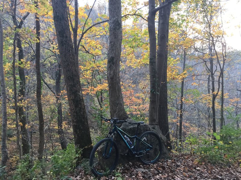Fall color. Great trail to hike, not necessarily bike.