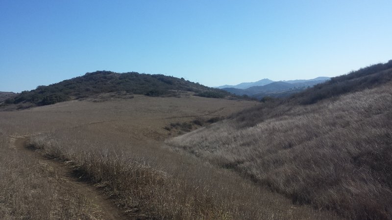 Fun and flowy singletrack