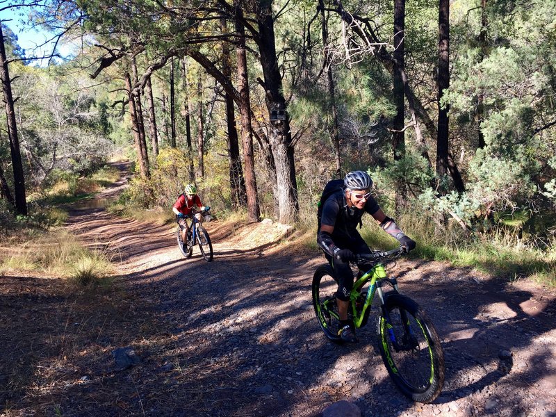 bear creek mountain bike trail