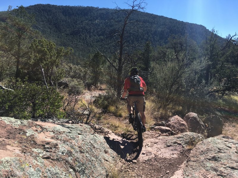 sycamore canyon mountain bike trails