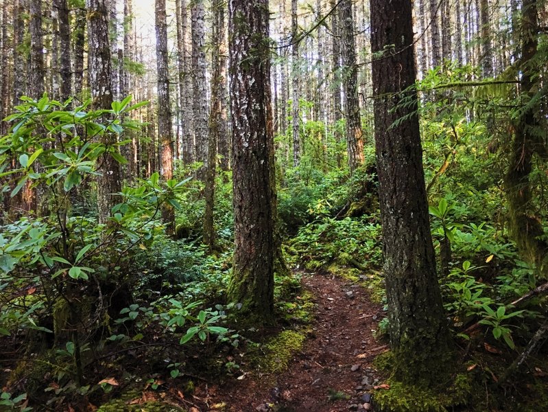 Green Mountain Loop