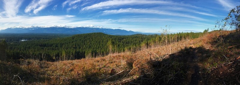 Gold Creek Trail