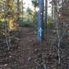 Trail crossing.