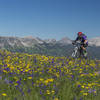 Views and wildflowers abound during a crisp springtime ride on the divide.