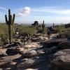 Cruising between the rounded rocks on the National Trail, South Mountain Park, Phoenix.