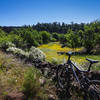 Wildflowers and sweet singletrack in the Montañas Negras.